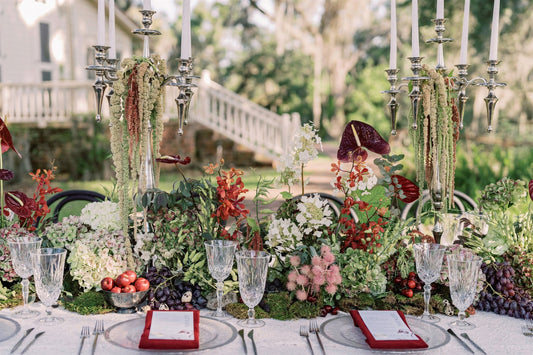 Southern Gothic Editorial in Tampa, Florida